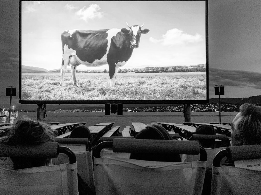 cinema audience watching film